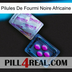 African Black Ant Pills 37